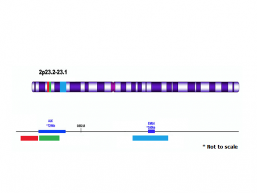 ALK/EML4 Tri-Color 0.1 mL