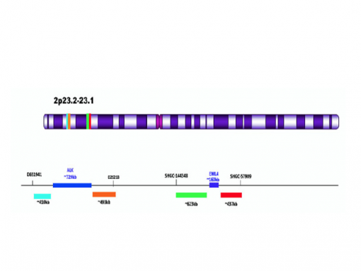 ALK/EML del-TECT Four Color 0.1 mL