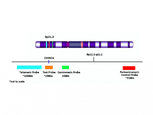 CDKN2A del-TECT  Four Color 0.1 mL
