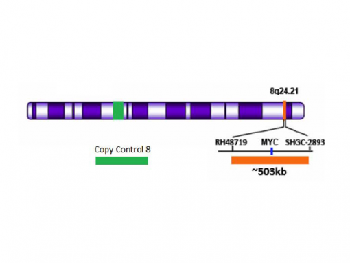 MYC (8q24) Orange + Copy Control 8 Green 0.1 mL