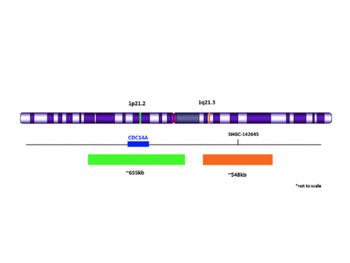1q21.3 Orange/ 1p21.2 Green 0.1 mL