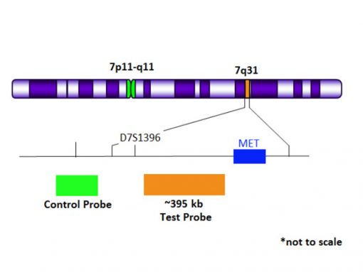 7q31 Orange + Copy Control 7 Green 0.1 mL