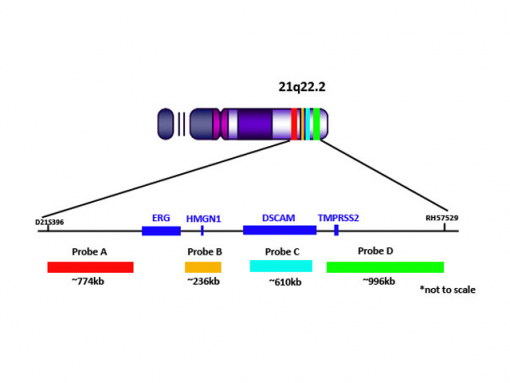 TMPRSS2/ ERG del-TECT Four Color 0.1 mL