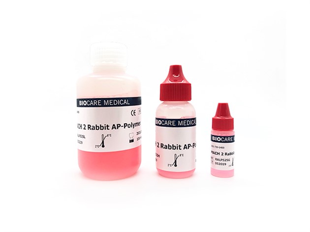 MACH 2 AP-Rabbit Polymer 6mL