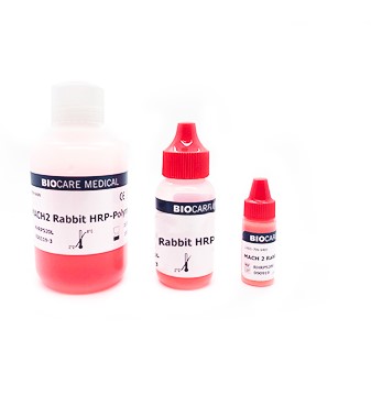 MACH 2 HRP-Rabbit Polymer 6mL