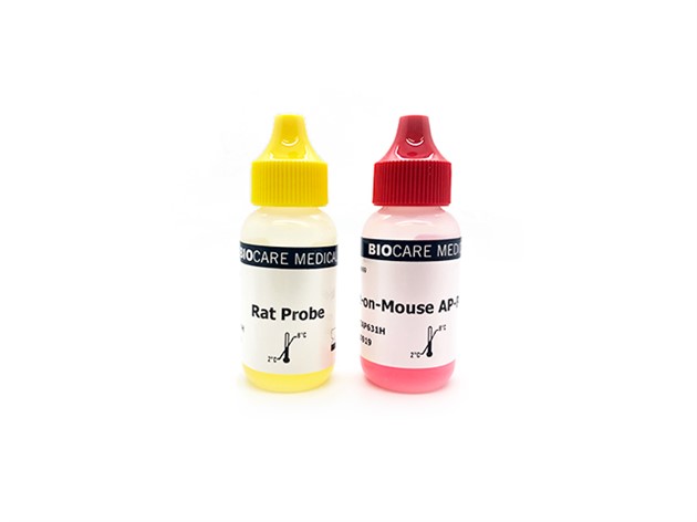 Rat on Mouse ALP-Polymer Kit 6,0mL