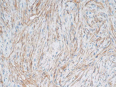 CD34 (QBEnd/10) 0,5mL