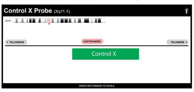 Chromosome X Control Probe Aqua 10 tests (20µl) RUO