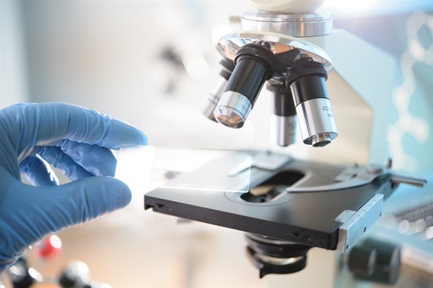 Objektglas &amp; Täckglas